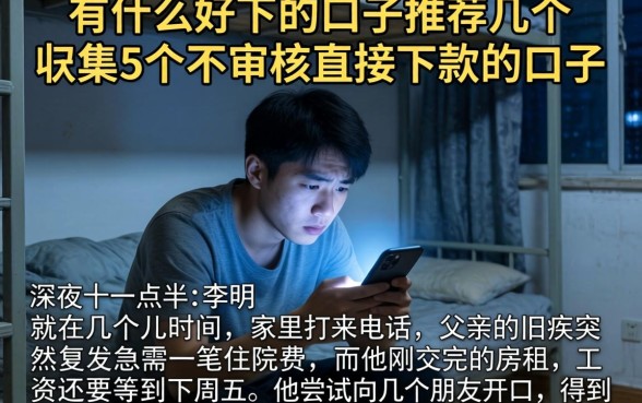 有什么好下的口子推荐几个，归集5个不审核直接下款的口子