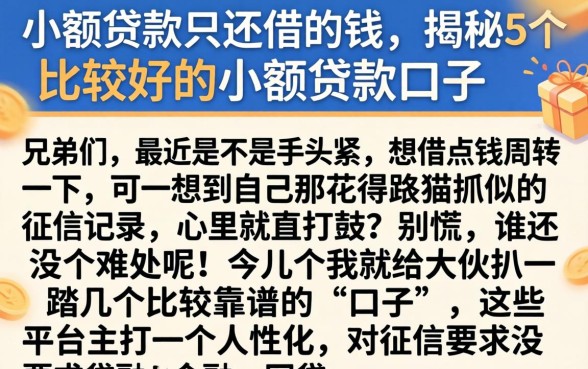 小额贷款只还借的钱，揭秘5个比较好的小额贷款口子