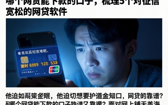 哪个网贷能下款的口子,梳理5个对征信宽松的网贷软件