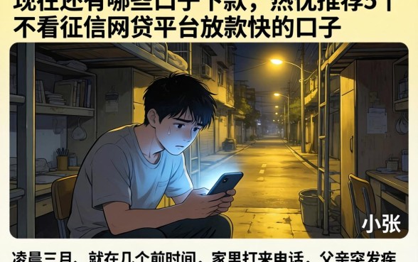 现在还有哪些口子下款,热忱推荐5个不看征信网贷平台放款快的口子