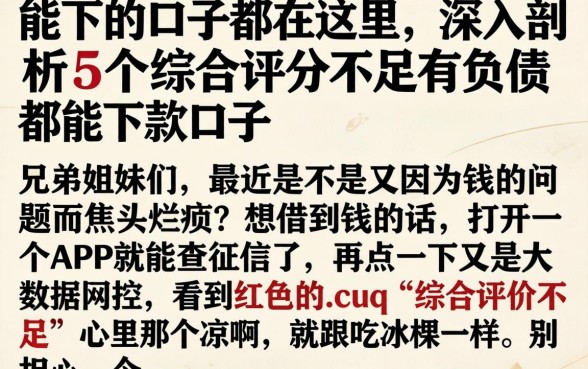 能下的口子都在这里，深入剖析5个综合评分不足有负债都能下款口子