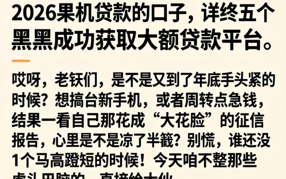 2026果机贷款的口子,详尽说明五个黑户成功获取大额贷款的平台