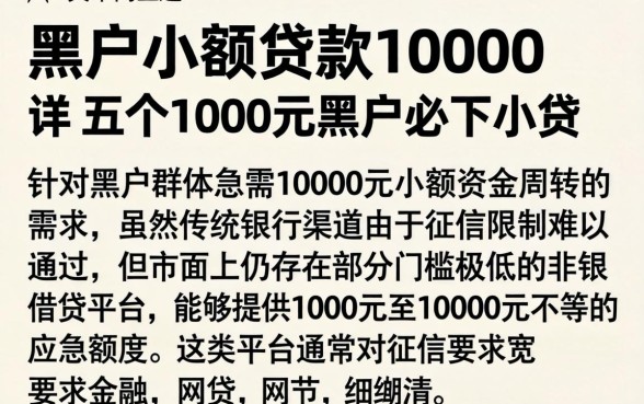 黑户小额贷款10000，详尽说明五个1000元黑户必下小贷