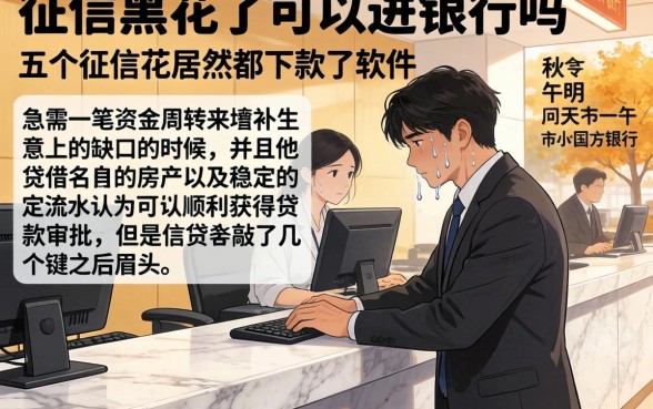 征信黑花了可以进银行吗，详尽说明五个征信花居然都下款了的软件