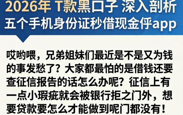 2026年下款的黑口子，深入剖析五个手机身份证秒借现金的app