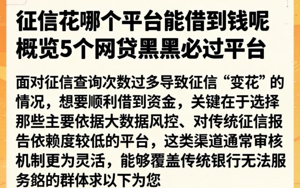 征信花哪个平台能借到钱呢，概览5个网贷黑户必过平台