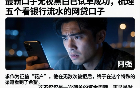 最新口子无视黑白已试单成功，梳理五个看银行流水的网贷口子