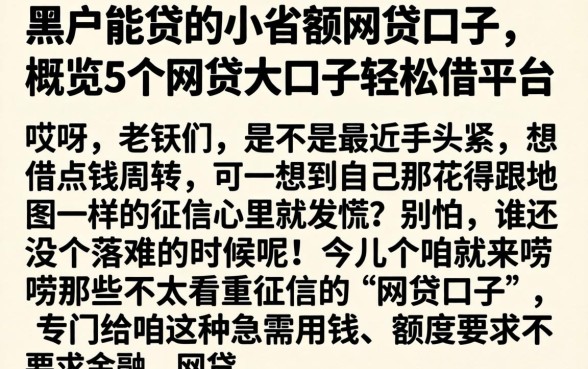黑户能贷的小额度网贷口子，概览5个网贷大口子轻松借平台