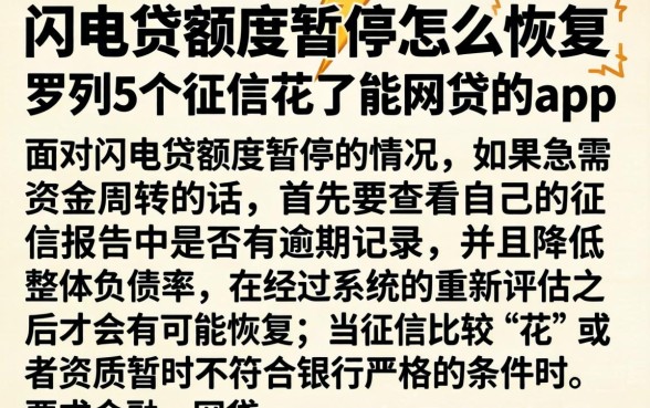 闪电贷额度暂停怎么恢复，罗列5个征信花了能网贷的app