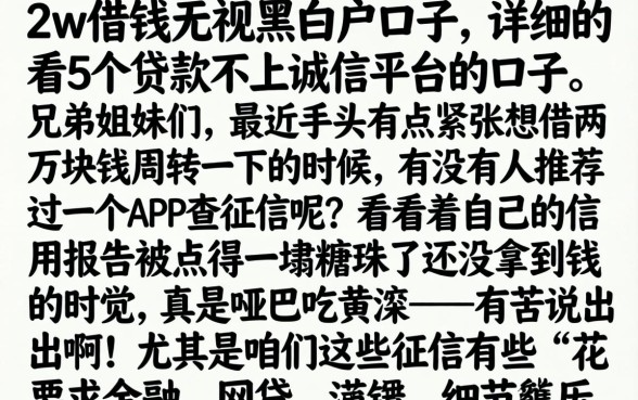 2w借钱无视黑白户口子，详细阐述5个贷款不上诚信平台的口子