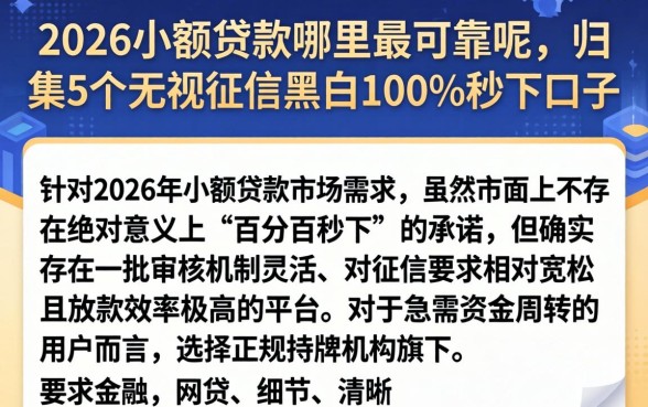 2026小额贷款哪里最可靠呢，归集5个无视征信黑白100%秒下口子