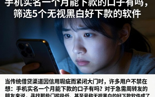 手机实名一个月能下款的口子有吗，筛选5个无视黑白好下款的软件