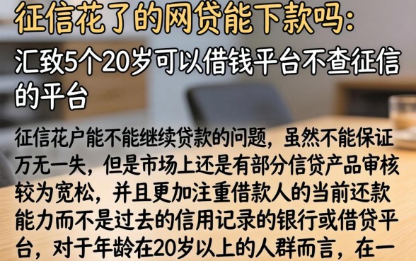征信花了的网贷能下款吗，汇整5个20岁可以借钱平台不查征信的平台