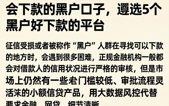 会下款的黑户口子，遴选5个黑户好下款的平台