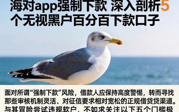 海鸥app强制下款，深入剖析5个无视黑户百分百下款口子