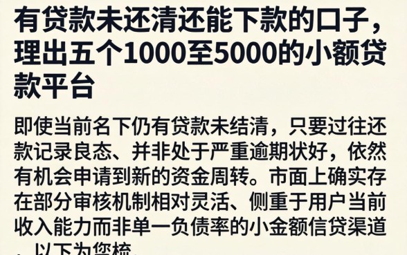 有贷款未还清还能下款的口子，理出五个1000至5000的小额贷款平台