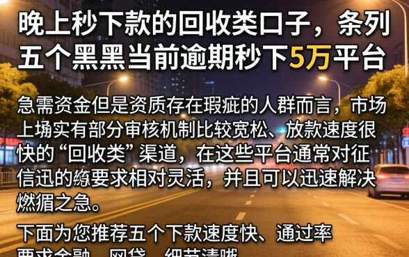 晚上秒下款的回收类口子，条列五个黑户当前逾期秒下5万平台