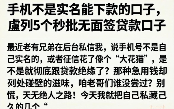 手机不是实名能下款的口子，胪列5个秒批无面签贷款口子