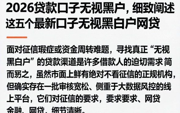 2026贷款口子无视黑户，细致阐述五个最新口子无视黑白户网贷