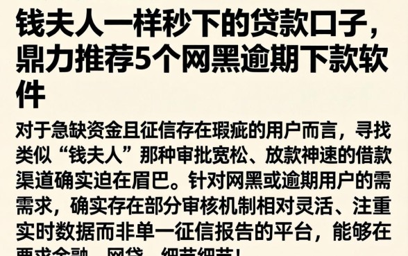 钱夫人一样秒下的贷款口子，鼎力推荐5个网黑逾期下款软件