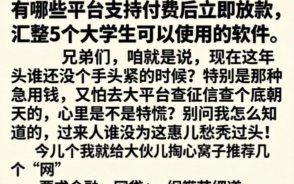 有哪些平台支持付费后立即放款，汇整5个大学生可以使用的软件