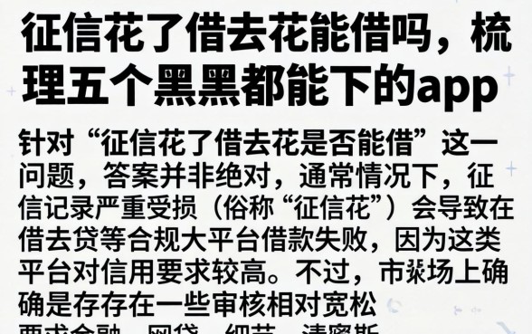 征信花了借去花能借吗，梳理五个黑户都能下的app