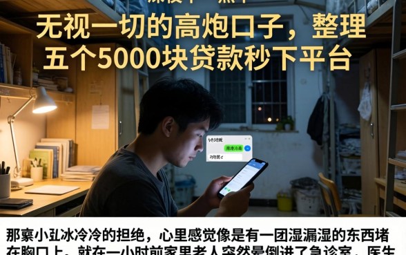 无视一切的高炮口子,整理五个5000块贷款秒下平台