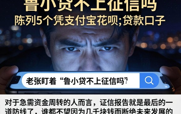鲁小贷不上征信吗，陈列5个凭支付宝花呗贷款的口子
