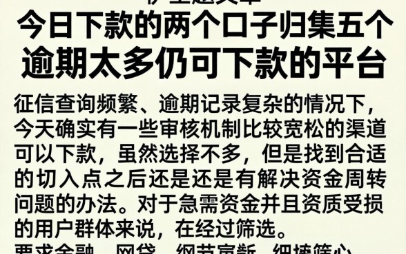 今日下款的两个口子,归集五个逾期太多仍可下款的平台