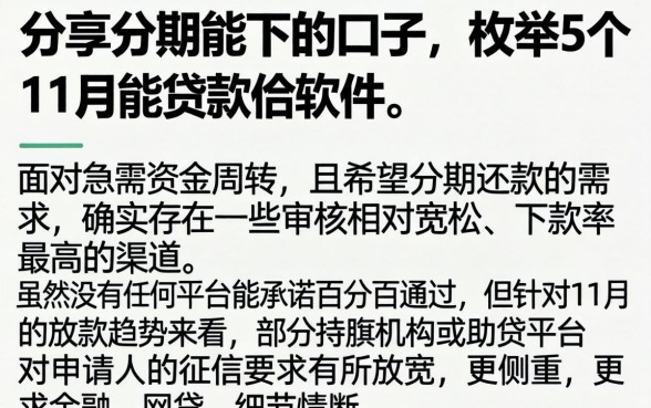 分享分期能下的口子，枚举5个11月能贷款的软件
