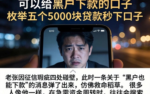 可以给黑户下款的口子，枚举五个5000块贷款秒下口子