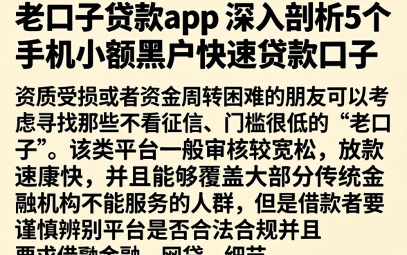 老口子贷款app，深入剖析5个手机小额黑户快速贷款口子
