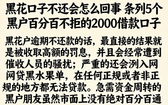 黑花口子不还会怎么回事，条列5个黑户百分百不拒的2000借款口子