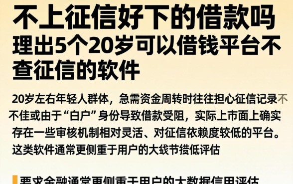 不上征信好下的借款吗，理出5个20岁可以借钱平台不查征信的软件