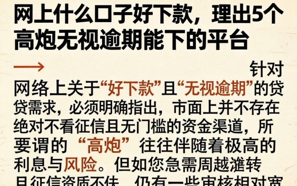 网上什么口子好下款，理出5个高炮无视逾期能下的平台