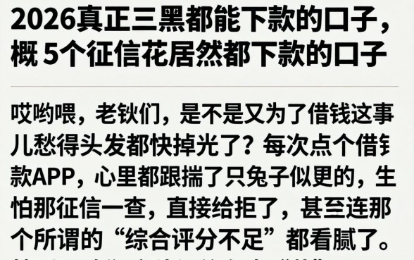 2026真正三黑都能下款的口子，概括5个征信花居然都下款的口子