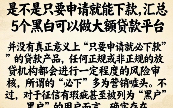 是不是只要申请就能下款，汇总5个黑户可以做大额贷款平台