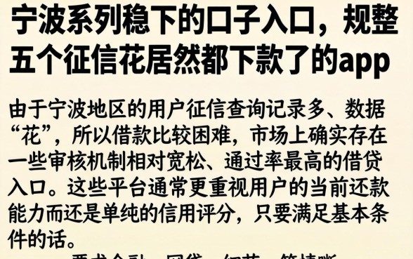 宁波系列稳下的口子入口,规整五个征信花居然都下款了的app