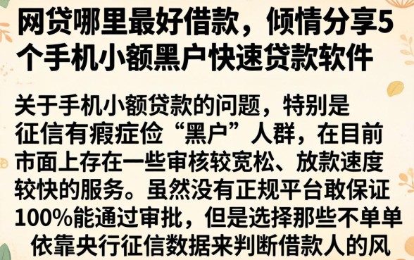 网贷哪里最好借款，倾情分享5个手机小额黑户快速贷款软件