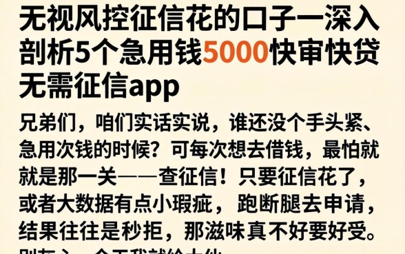 无视风控征信花的口子，深入剖析5个急用钱5000快审快贷无需征信app