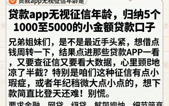贷款app无视征信年龄,归纳5个1000至5000的小额贷款口子