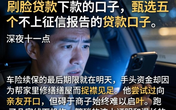 刷脸贷款下款的口子，甄选五个不上征信报告的贷款口子