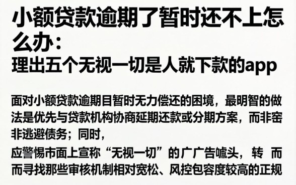 小额贷款逾期了暂时还不上怎么办，理出五个无视一切是人就下款的app