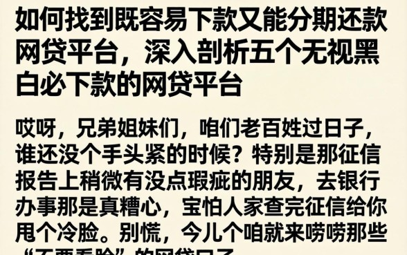如何找到既容易下款又能分期还款的网贷平台，深入剖析五个无视黑白必下款的网贷平台