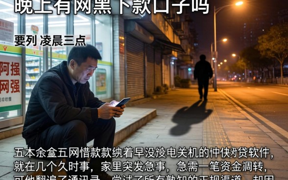 晚上有网黑下款口子吗,胪列五个借款快的网贷软件