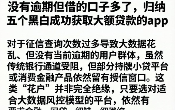 没有逾期但借的口子多了，归纳五个黑户成功获取大额贷款的app