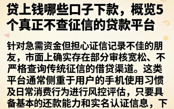 贷上钱哪些口子下款,概览5个真正不查征信的贷款平台