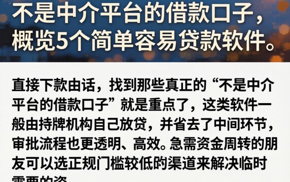 不是中介平台的借款口子，概览5个简单容易贷款软件