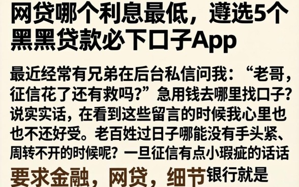网贷哪个利息最低，遴选5个黑户贷款必下口子app