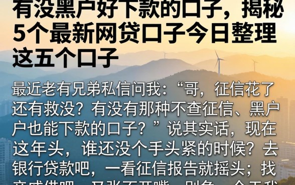 有没黑户好下款的口子，揭秘5个最新网贷口子今日整理这五个口子